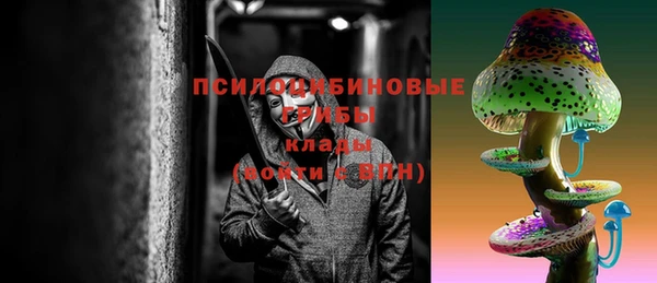 молекула духа Армянск