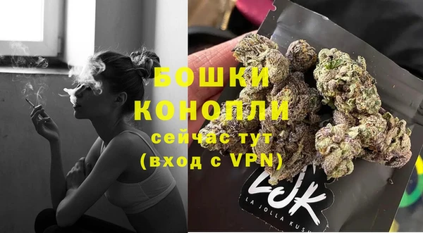 дживик Аркадак