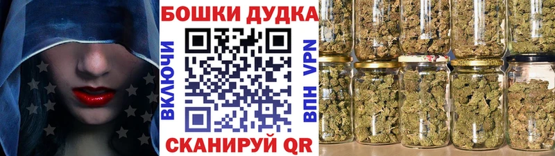 Бошки Шишки семена  сайты даркнета состав  Фролово  где купить наркотик 